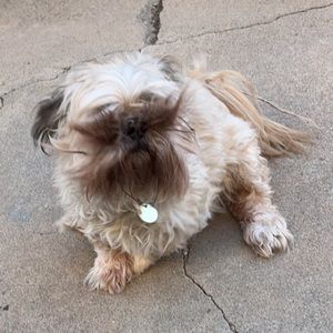 Meet your Posher, Kylee